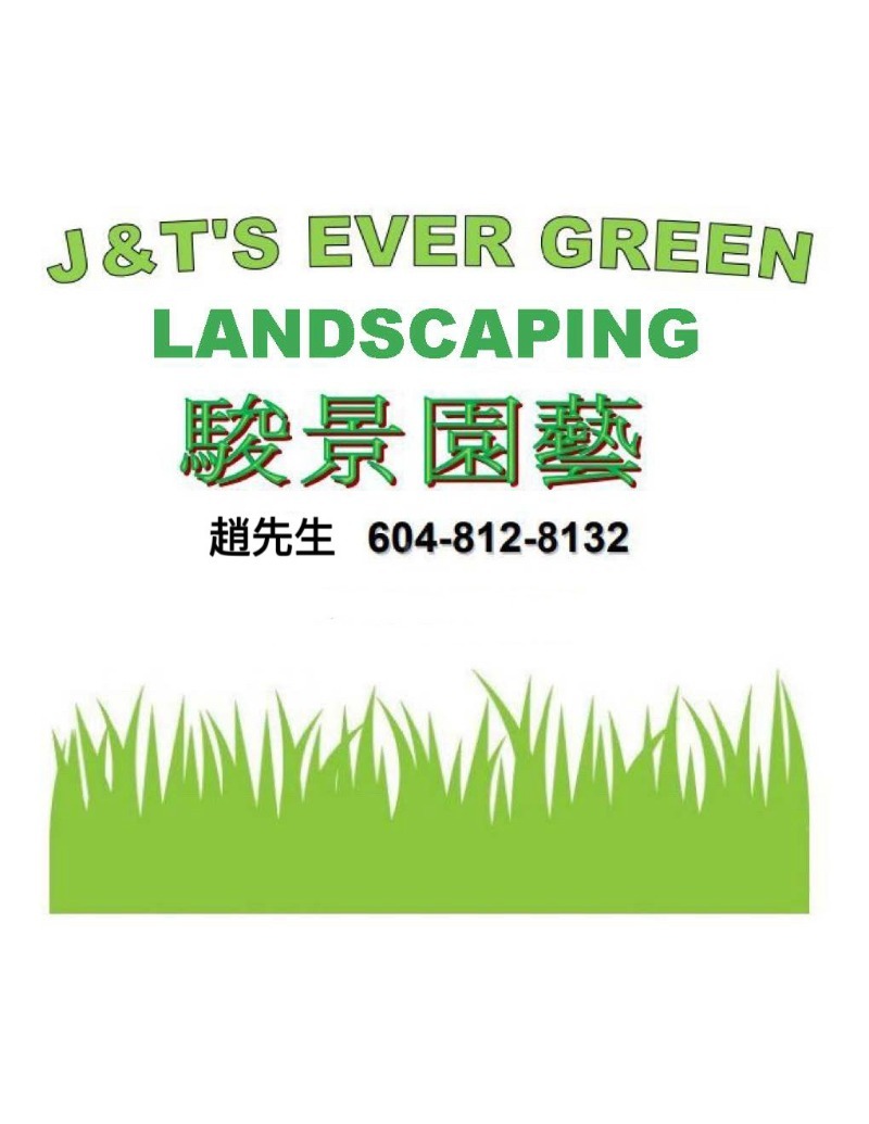 260725180623_ever green.jpg
